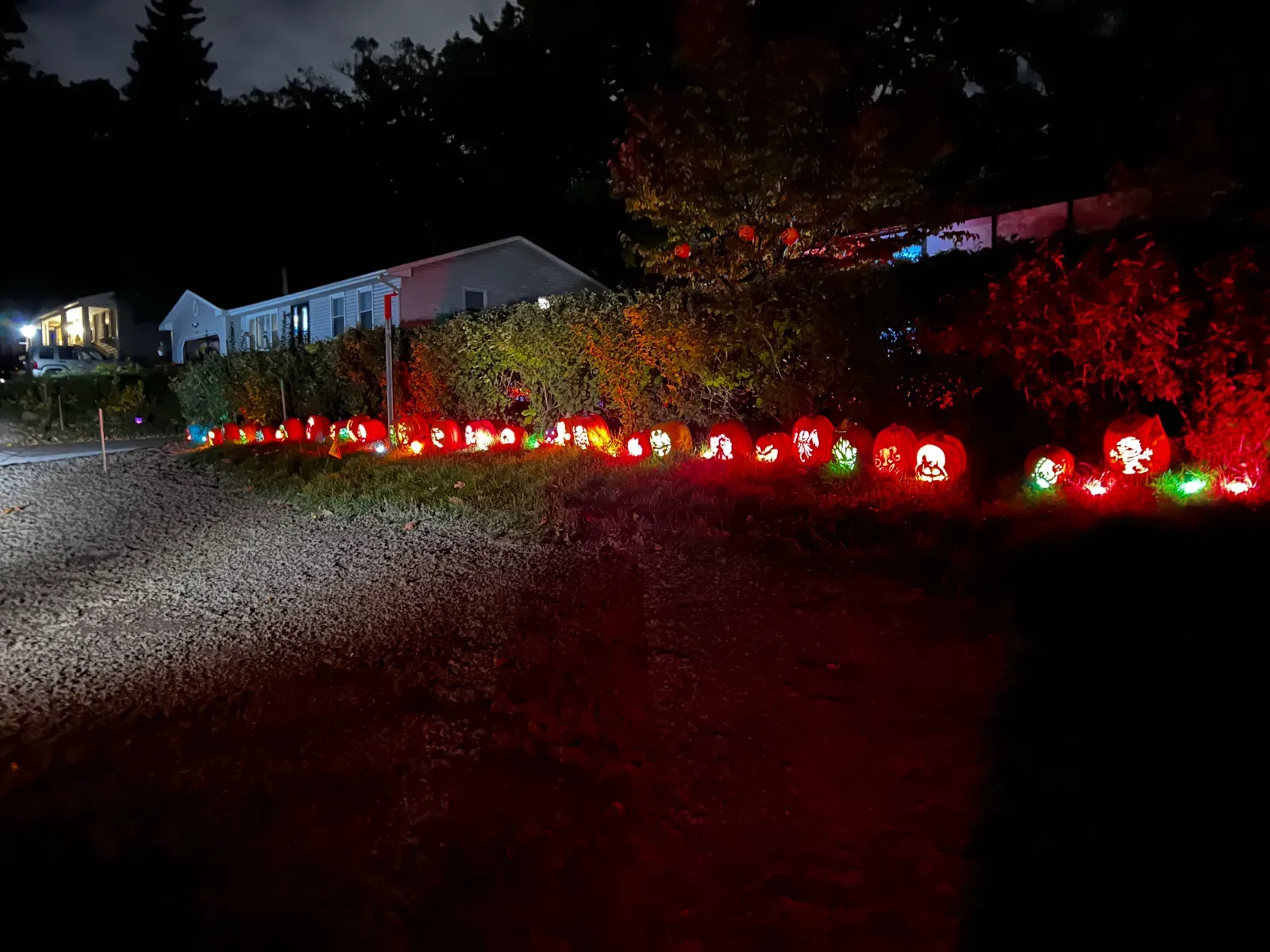 The Haunted Oaks, 2023