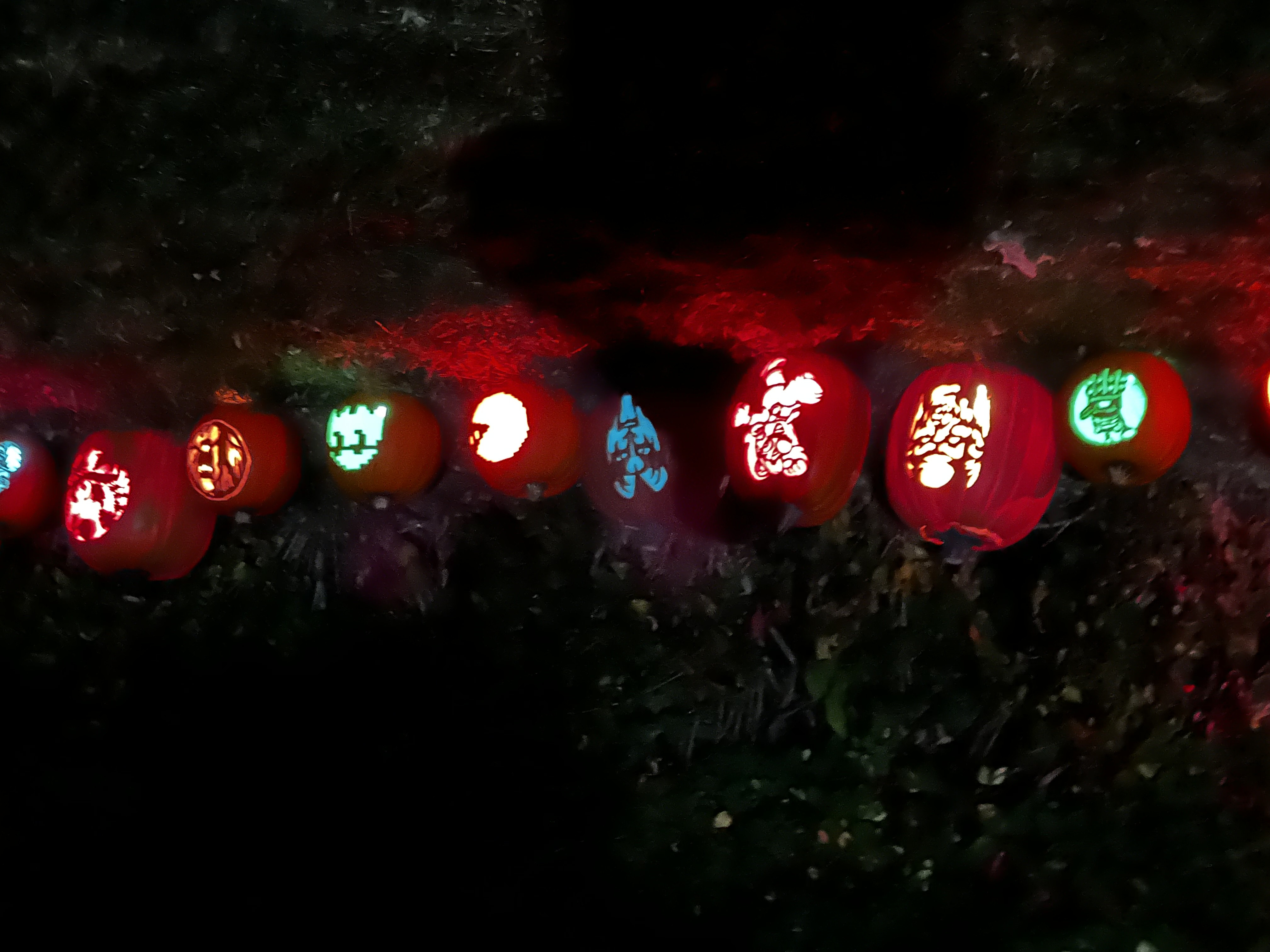 The Haunted Oaks, 2024