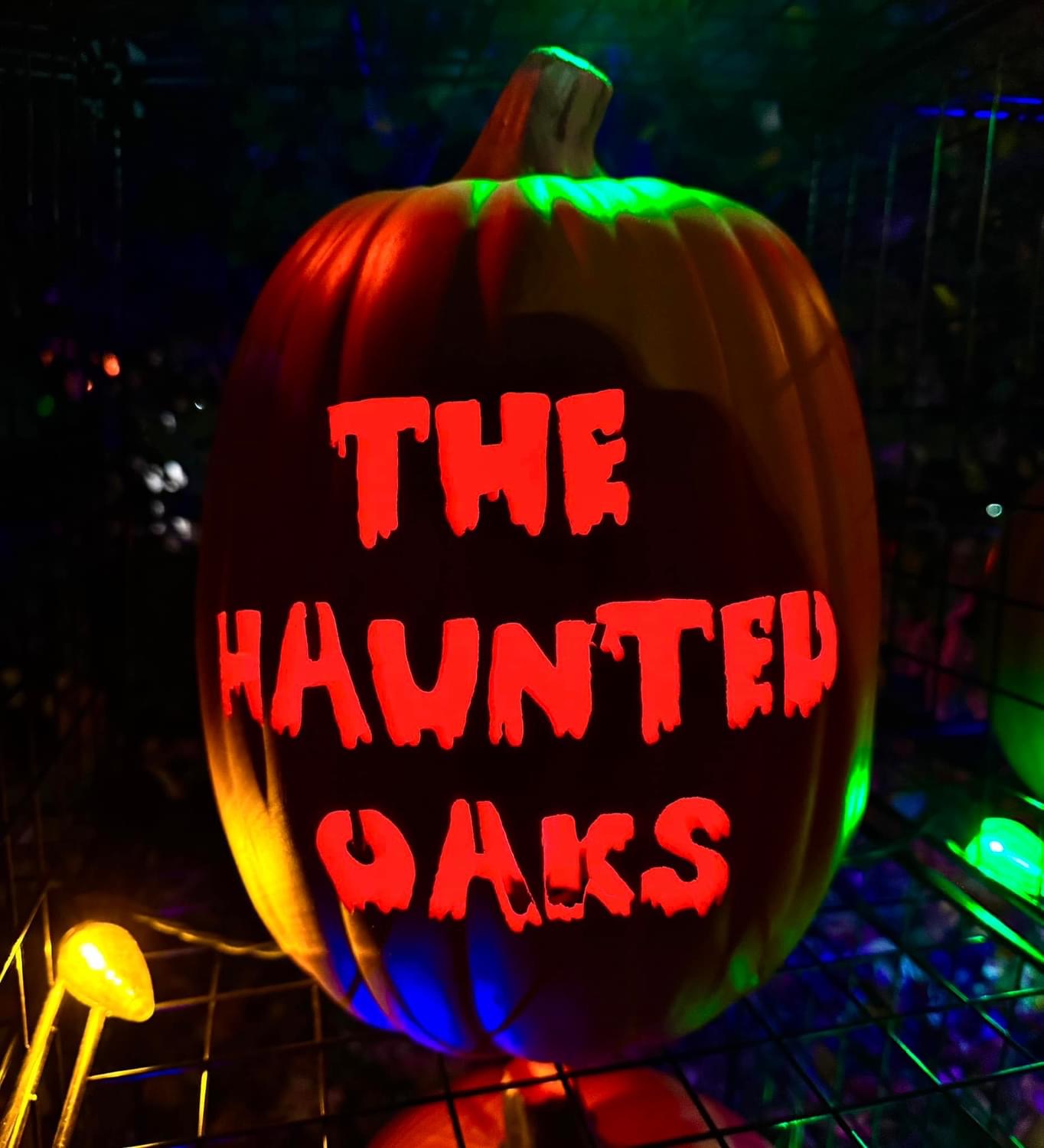 The Haunted Oaks, 2024