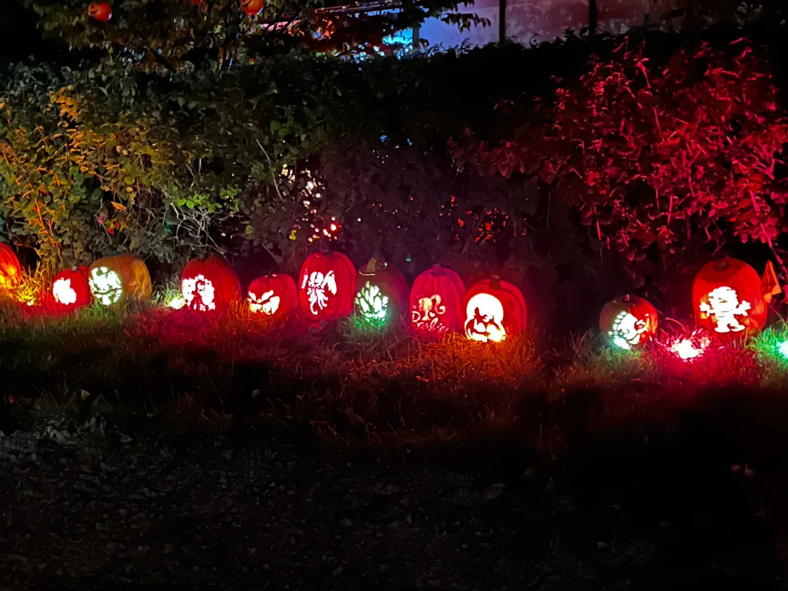 The Haunted Oaks, 2023
