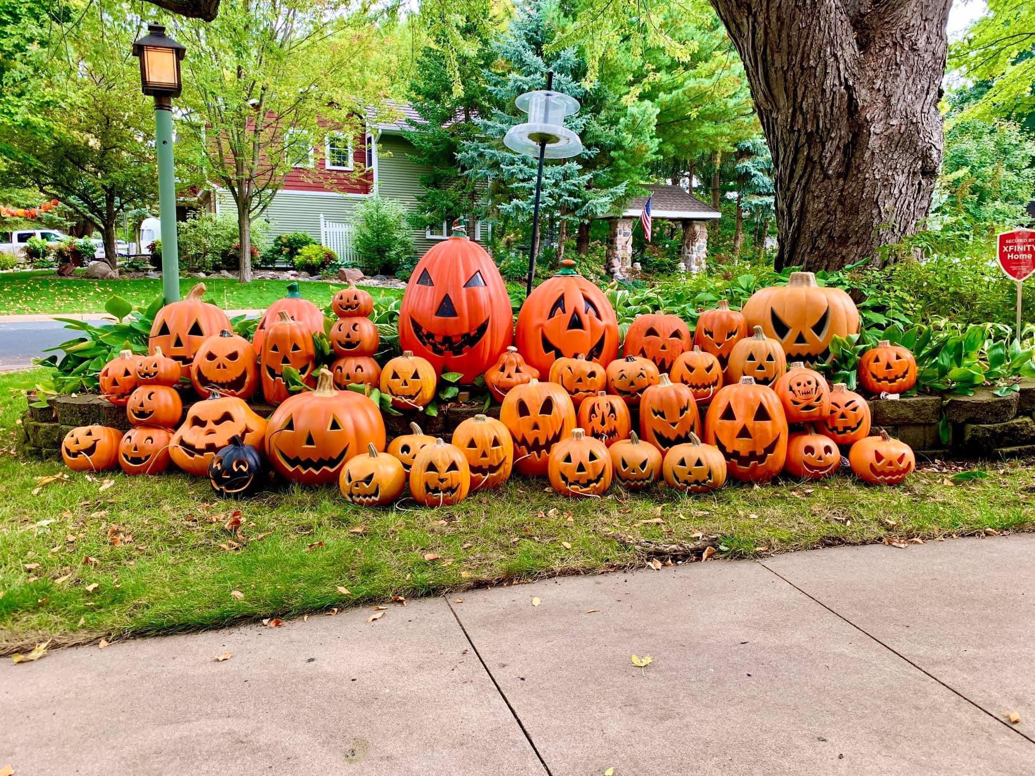 The Haunted Oaks, 2024