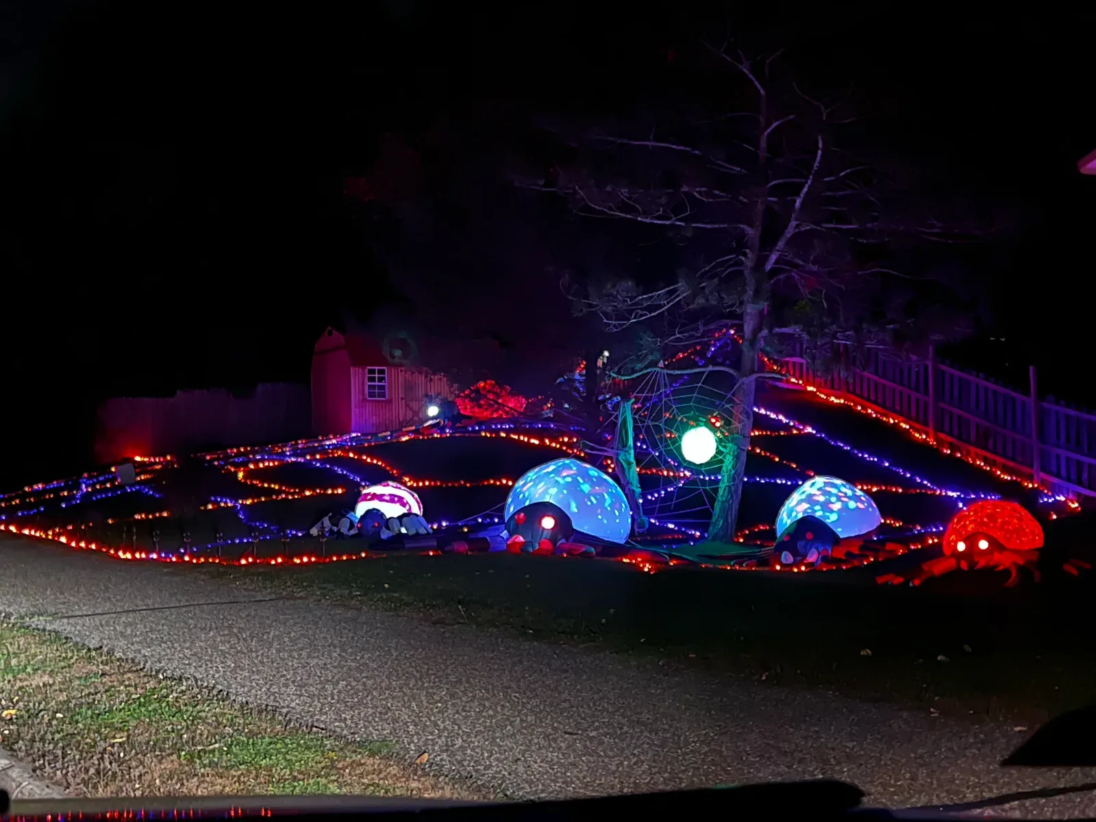 The Haunted Oaks, 2023