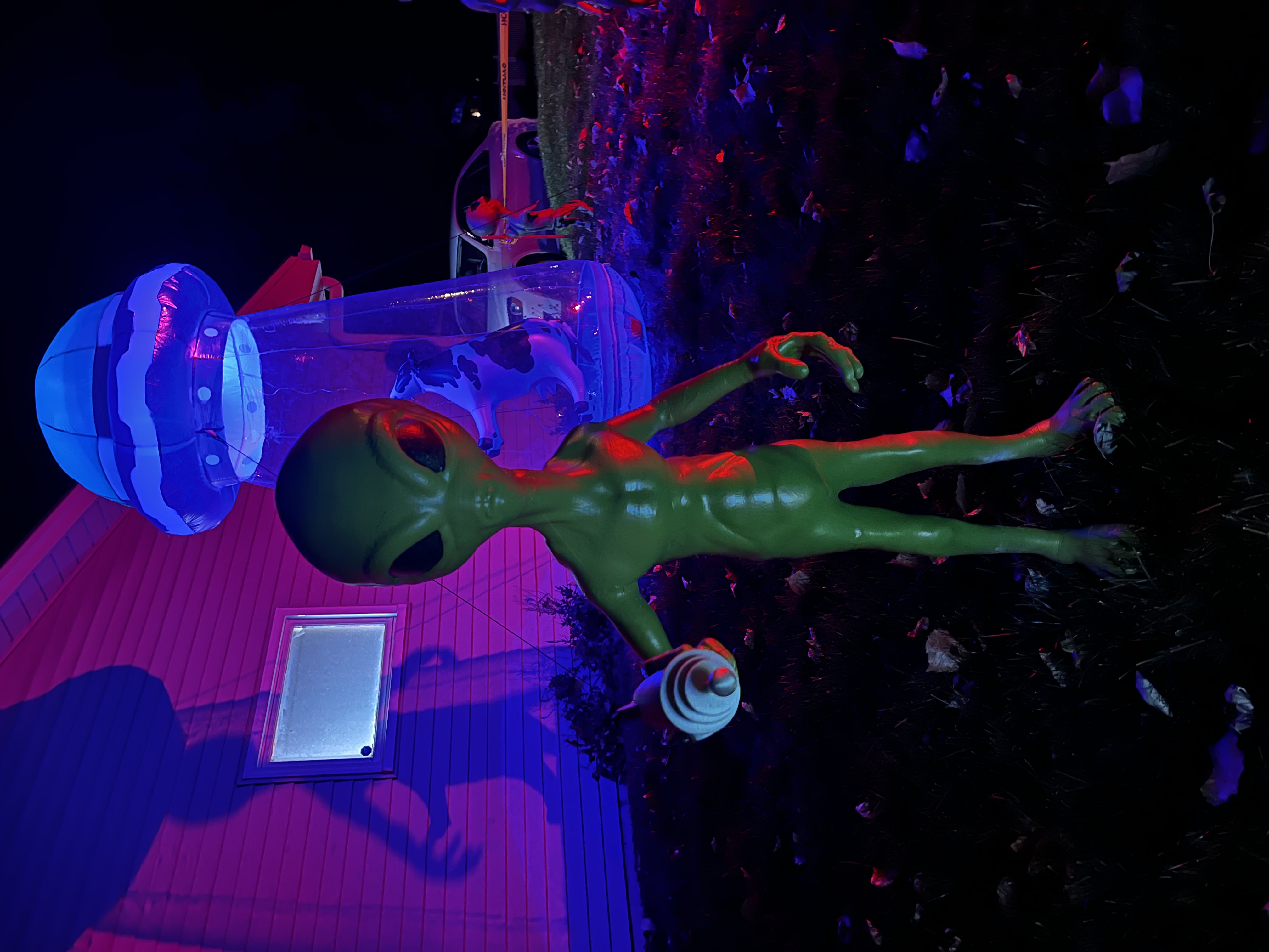 The Haunted Oaks, 2024