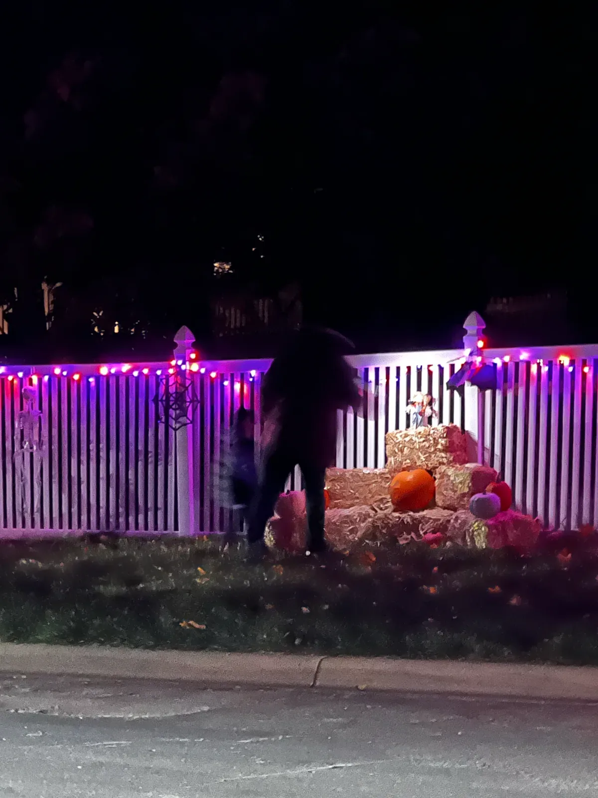 The Haunted Oaks, 2023