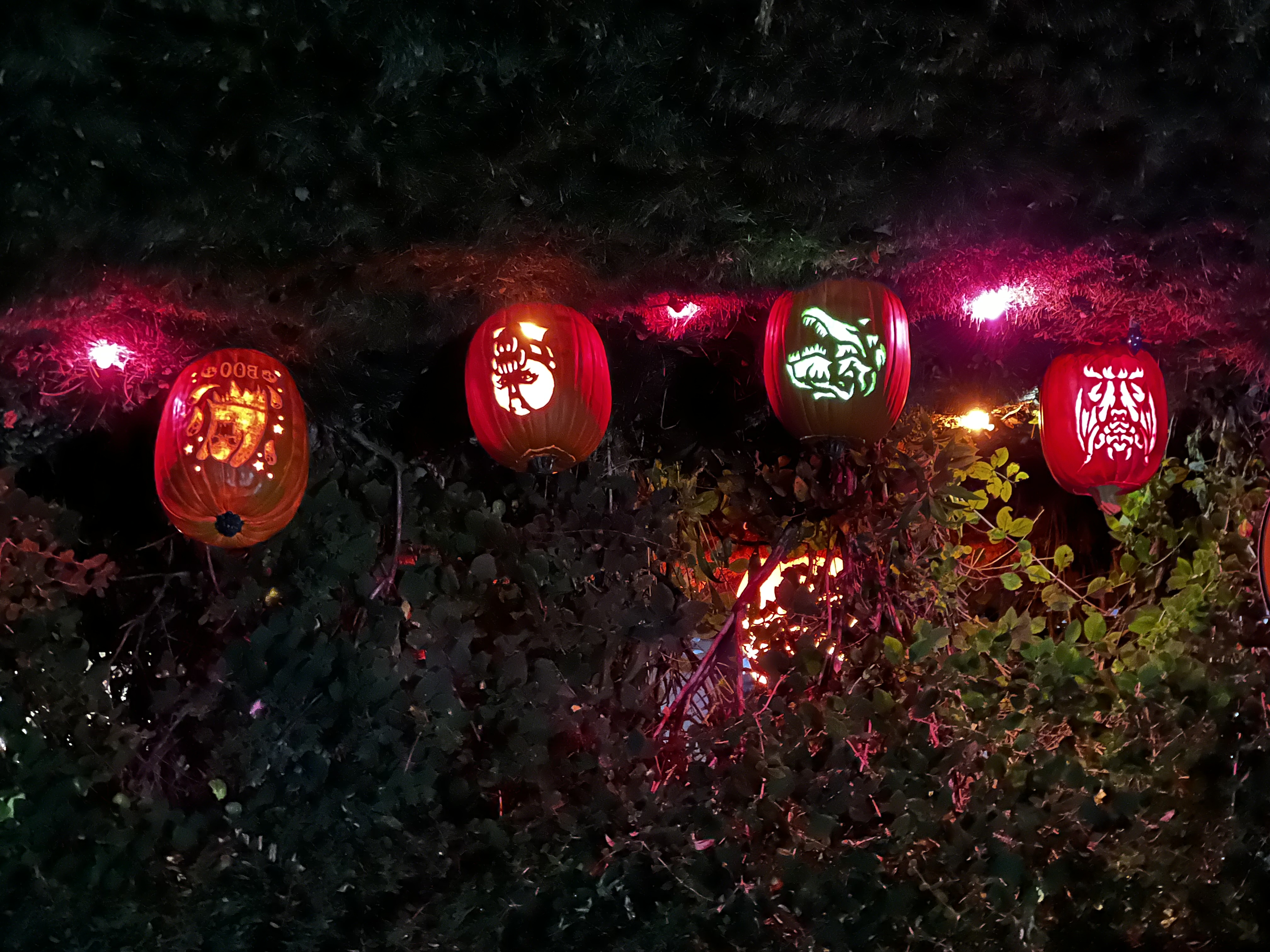 The Haunted Oaks, 2024