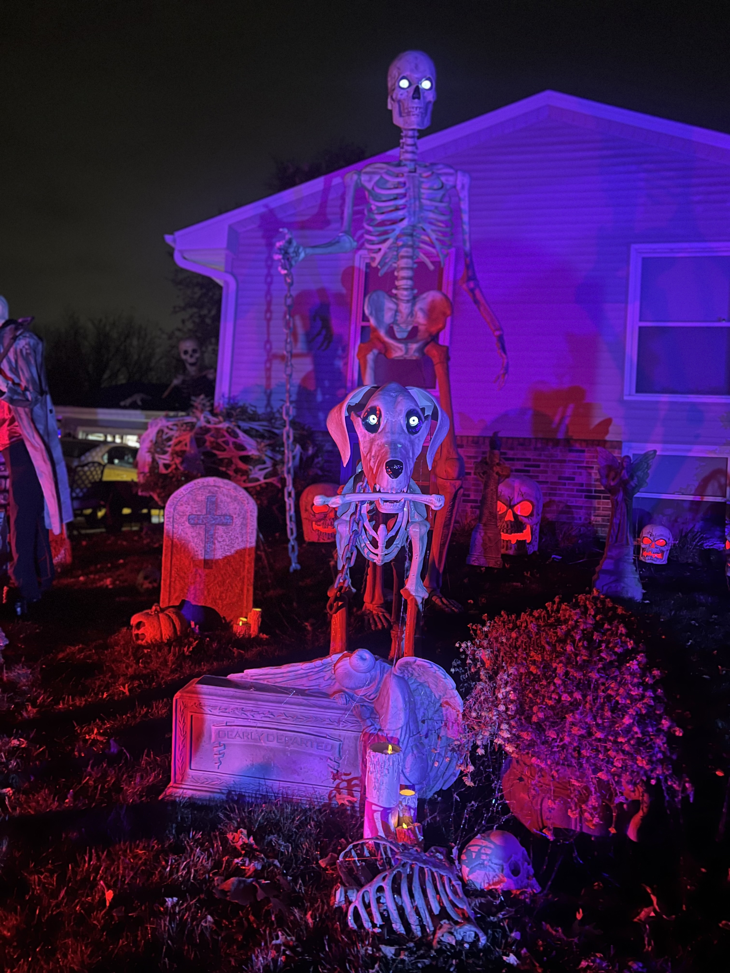 The Haunted Oaks, 2024