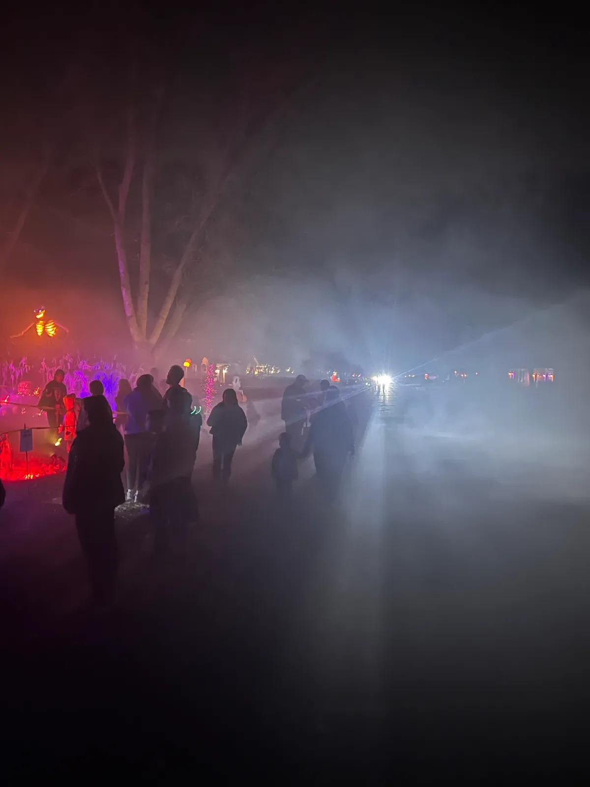 The Haunted Oaks, 2022