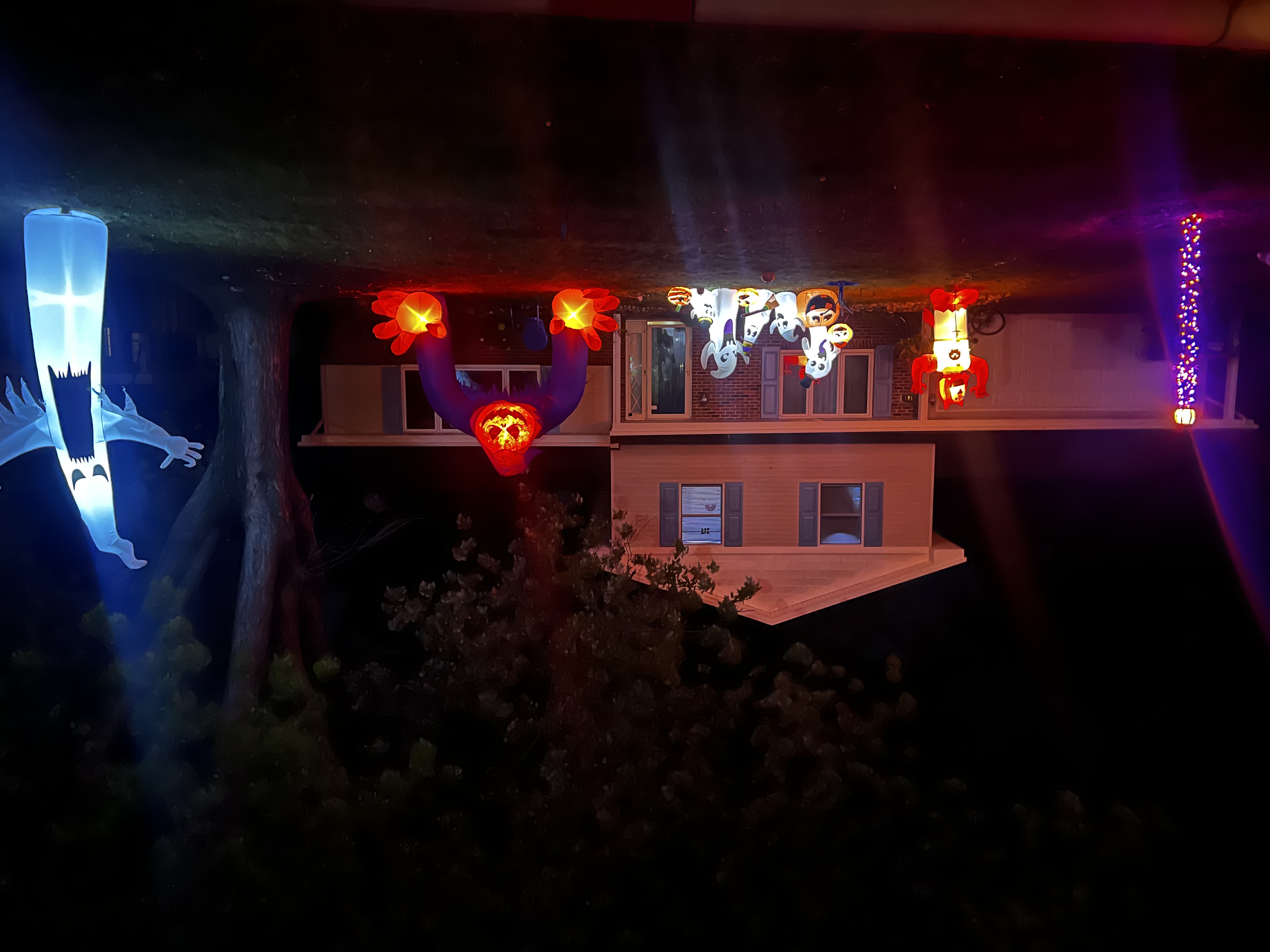 The Haunted Oaks, 2024
