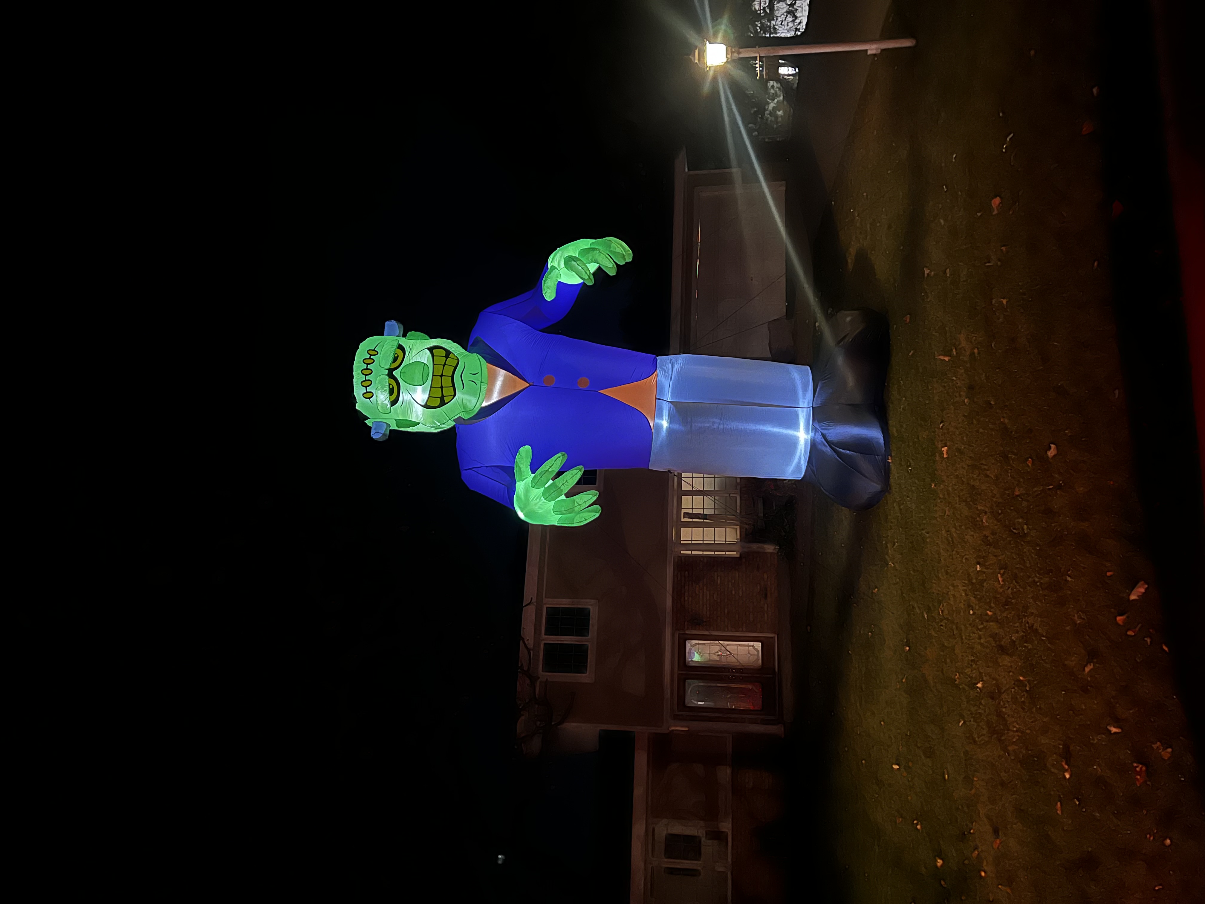 The Haunted Oaks, 2024