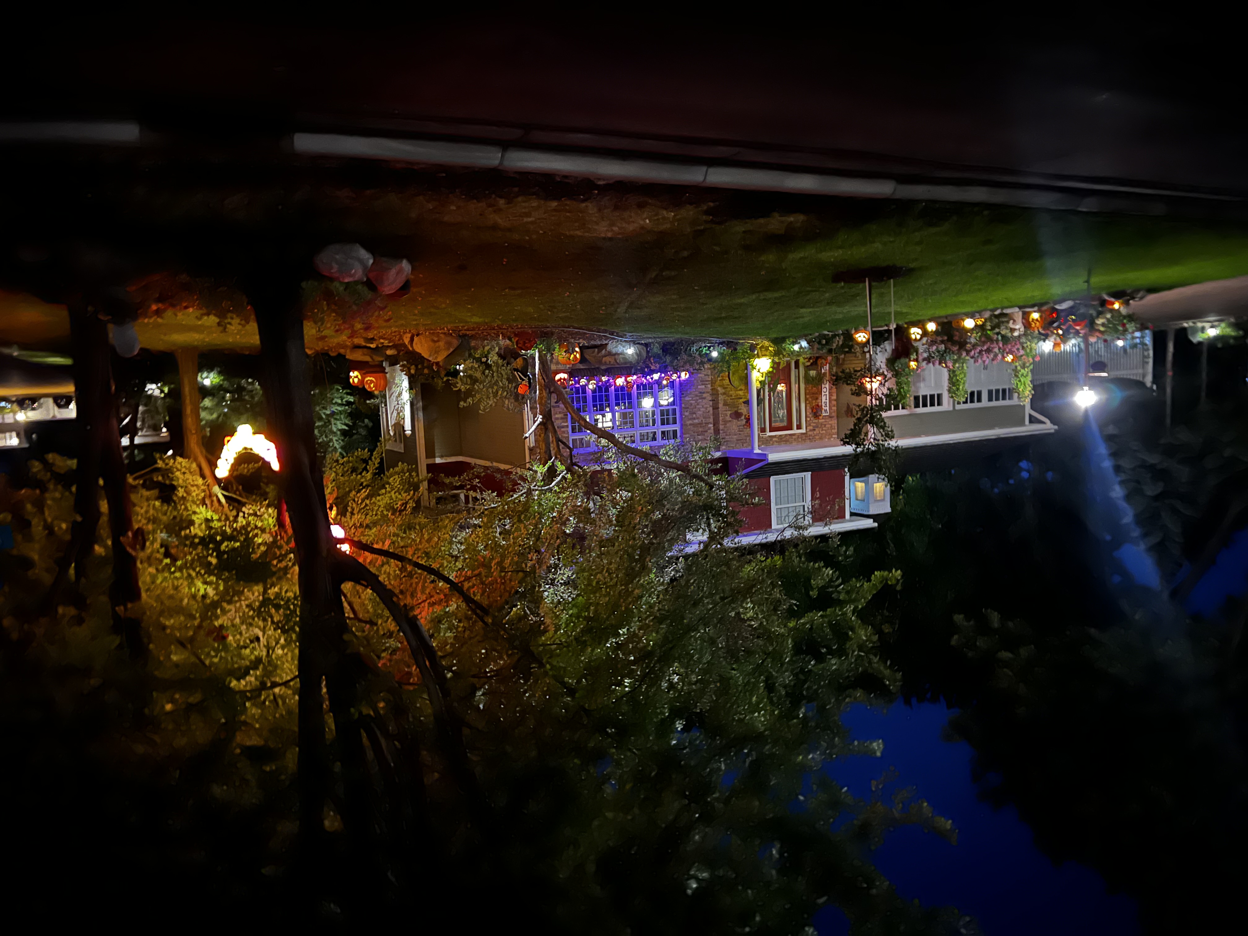 The Haunted Oaks, 2024