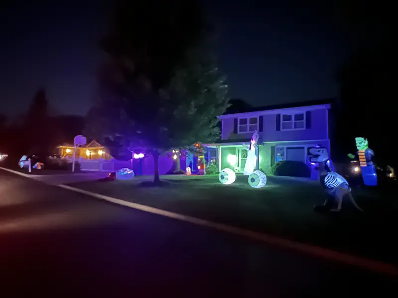 The Haunted Oaks, 2024