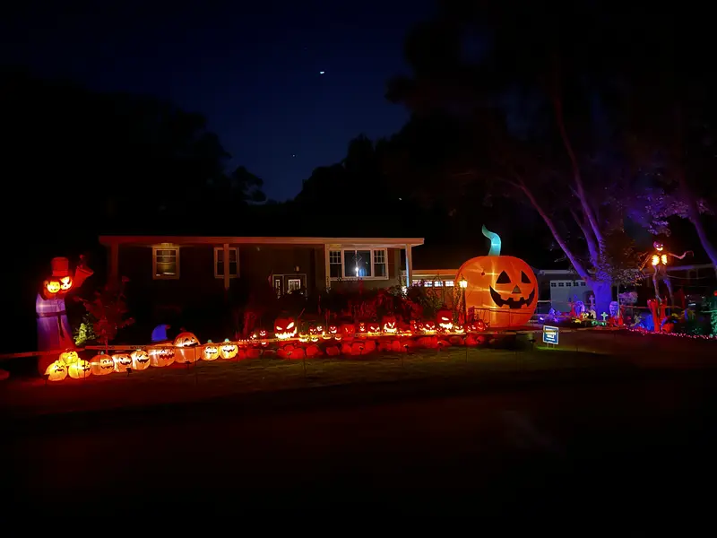 The Haunted Oaks, 2024