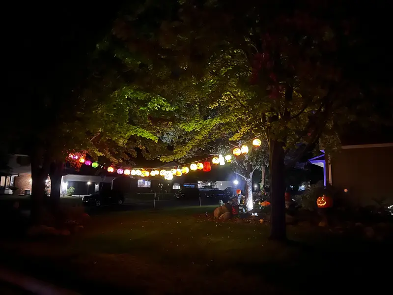 The Haunted Oaks, 2024