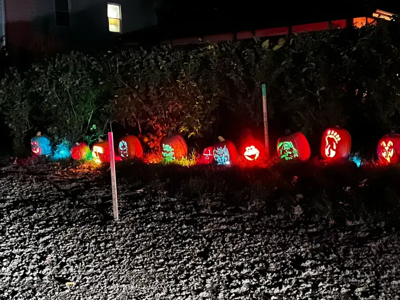 The Haunted Oaks, 2023