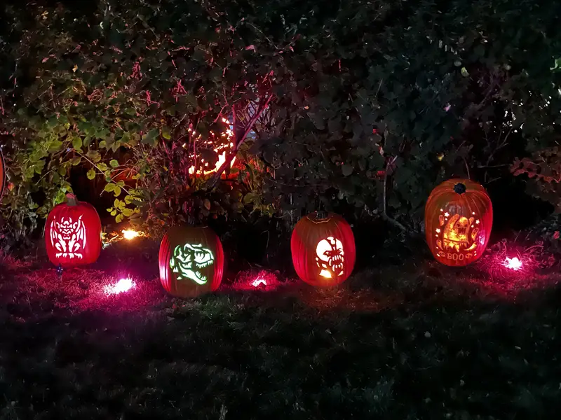 The Haunted Oaks, 2024