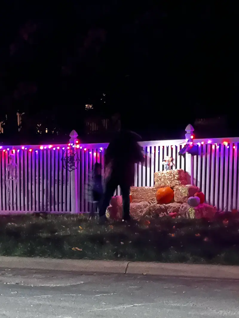 The Haunted Oaks, 2023