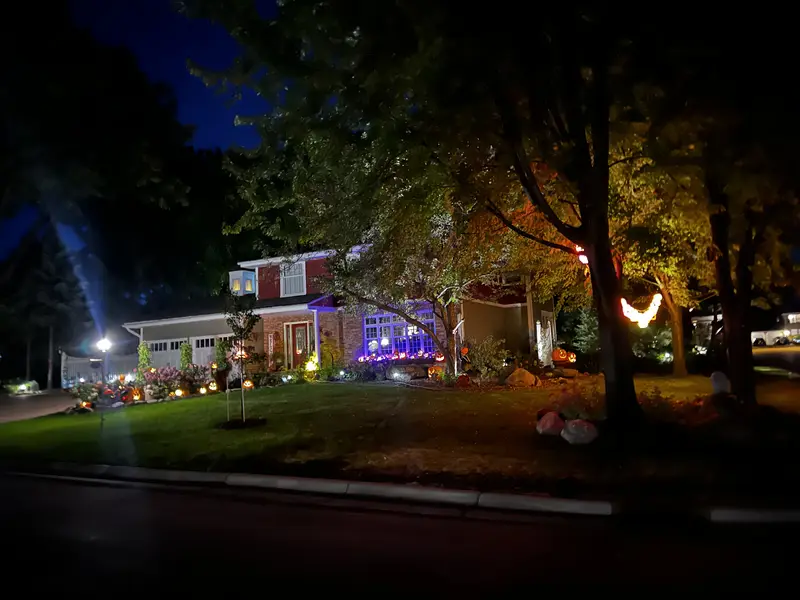 The Haunted Oaks, 2024